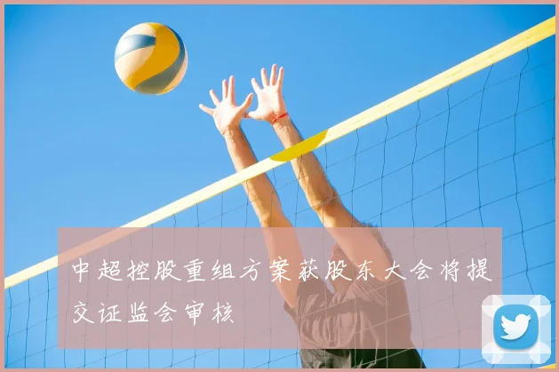 中超控股重组方案获股东大会将提交证监会审核