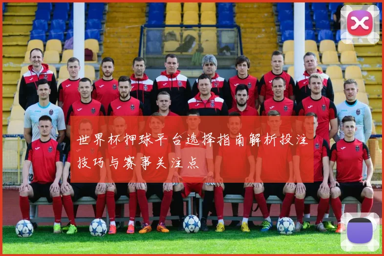 世界杯押球平台选择指南解析投注技巧与赛事关注点