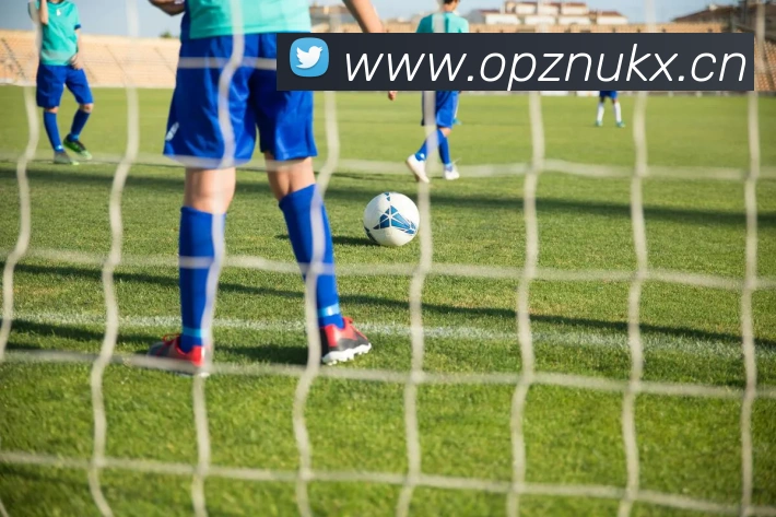 App Interface Preview